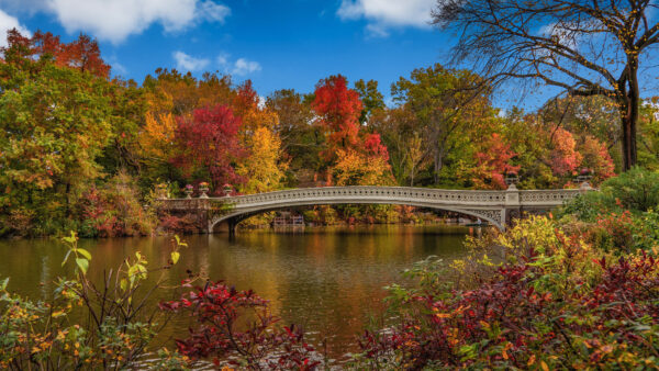 Wallpaper Desktop, New, Sky, Clouds, Under, Mobile, Nature, Park, USA, Blue, During, York, And, Central, Fall, Bridge
