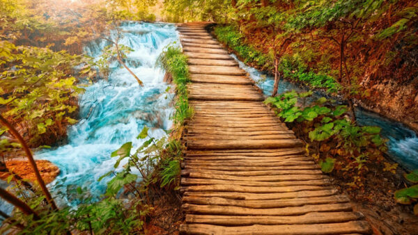 Wallpaper Path, Leaves, Between, Desktop, Waterfall, Surrounded, Nature, Wood, Stream