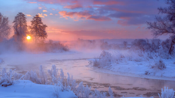 Wallpaper Plants, Trees, During, Frozen, Between, Sunrise, Nature, And, River