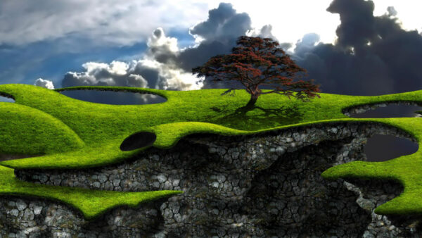 Wallpaper Tree, Grass, Mobile, Nature, Sky, Desktop, Field, Black, Background, Green, Clouds, White