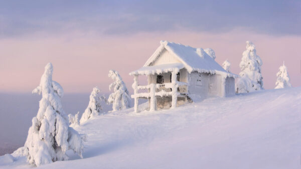 Wallpaper Field, Snow, Travel, Hut, Fir, Covered, Tree