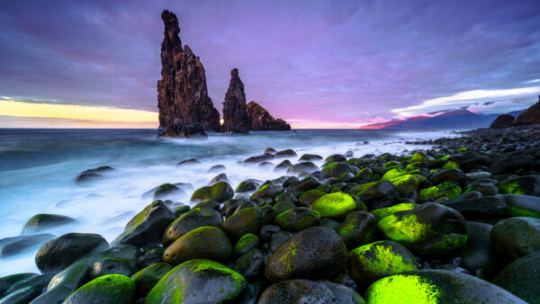 Wallpaper Stones, Ocean, Mobile, Covered, Nature, Under, Desktop, Light, Purple, Clouds, Rocks, Stream, Sky, Water, Algae, Waves