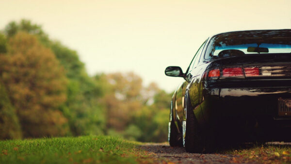 Wallpaper Jdm, Black, Backside, Desktop, Car