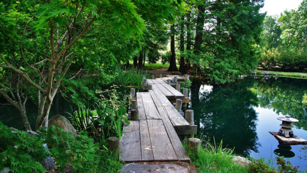 Wallpaper With, Garden, And, Water, Trees, Green