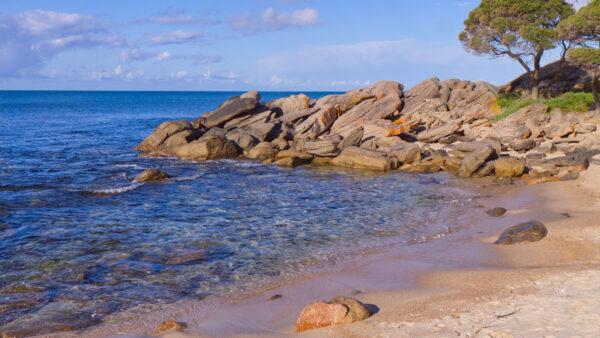 Wallpaper During, Sky, Sand, Ocean, Desktop, Stones, Mobile, Rocks, Daytime, Blue, Nature, Beach, Under, Trees, Waves