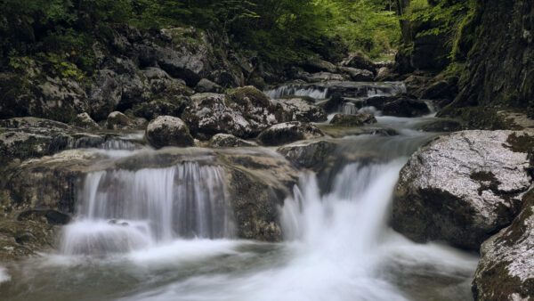 Wallpaper Stones, Rocks, Green, From, Trees, Desktop, Nature, Mobile, Waterfall, Stream