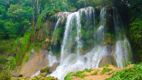 Wallpaper Forest, Stones, Background, Desktop, Mobile, Covered, Plants, From, Waterfalls, Rocks, Nature, Green