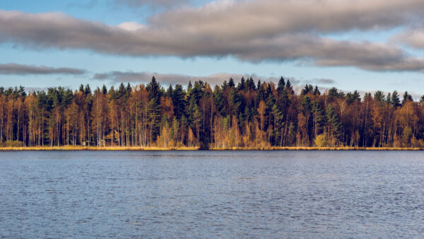 Wallpaper Autumn, Under, Trees, Desktop, Mobile, Green, View, Clouds, White, Leaves, Sky, Landscape, Yellow, Blue, River