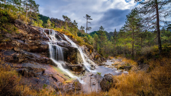 Wallpaper Dry, Grass, Waterfalls, Trees, From, Green, Rocks, Nature