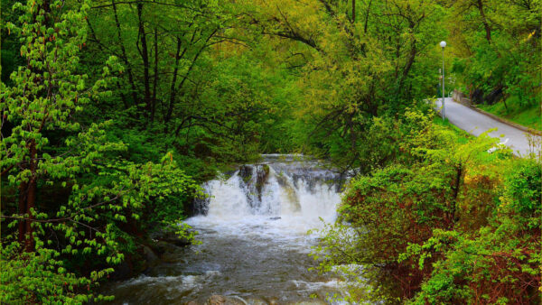 Wallpaper During, Between, Stream, Daytime, Bushes, Waterfalls, Nature, Road, Green, Trees, Plants