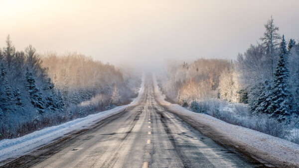 Wallpaper Nature, With, Fog, Road, Covered, Forest, Between, Trees, Snow, Frozen, Background