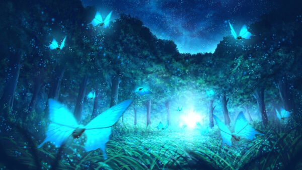 Wallpaper Forest, Bushes, Trees, Blue, Butterflies, Anime