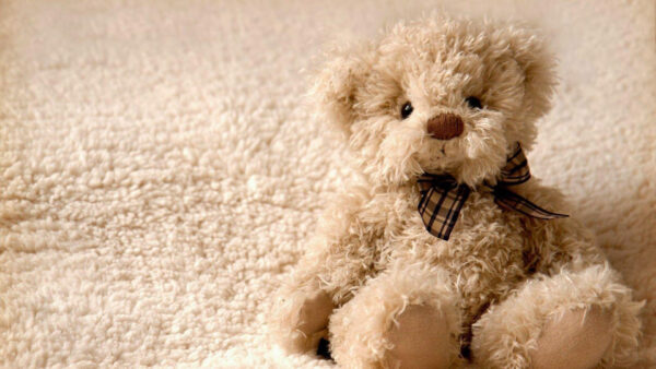 Wallpaper Teddy, Fur, Bear