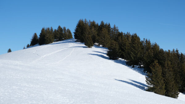 Wallpaper Slope, Sky, Desktop, Background, Mobile, Trees, Nature, During, Snow, Mountain, Blue, Daytime