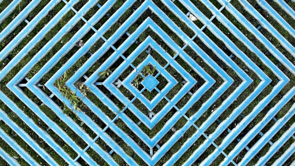 Wallpaper Background, Blue, Bushes, Plants, Shapes, Rhombuses, Others, Fence