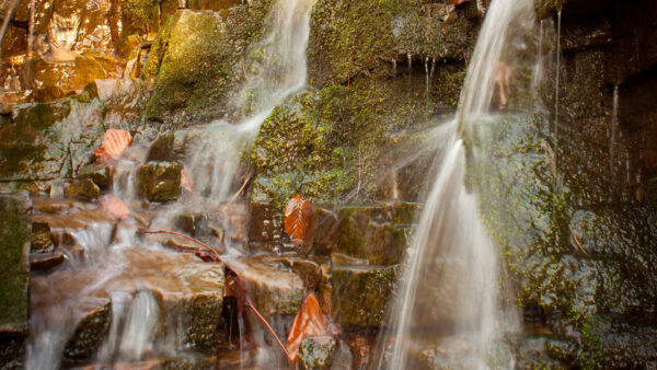 Wallpaper Stream, Stones, Nature, Algae, View, Closeup, Waterfall