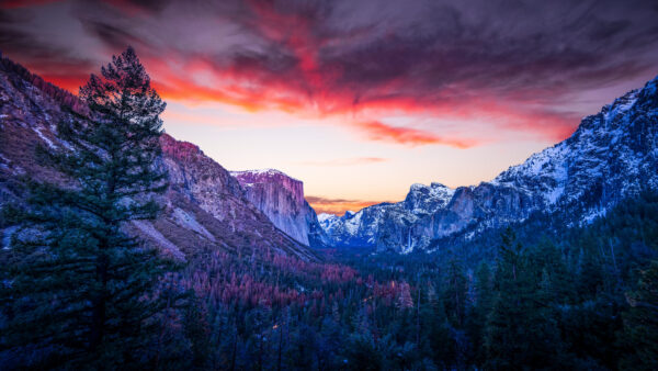 Wallpaper Yosemite, Valley