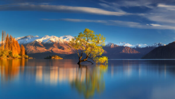 Wallpaper Reflection, Desktop, Landscape, Water, Mobile, Center, Tree, Nature, Lake