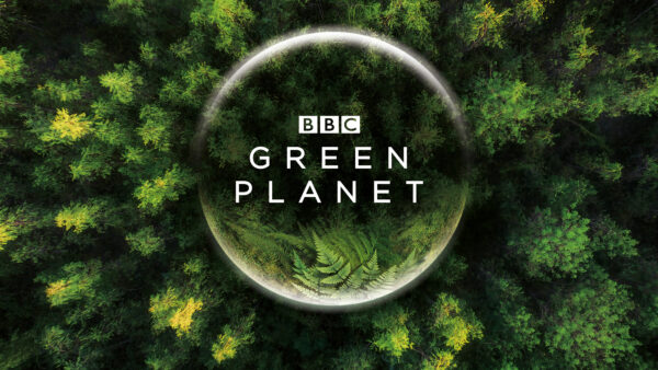 Wallpaper BBC, Green, Planet