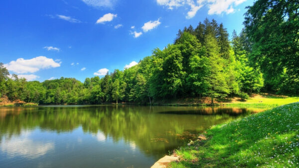 Wallpaper Surrounded, Under, Reflection, Sky, Field, Grass, Nature, White, Green, Trees, Clouds, Blue, And, Water, Lake
