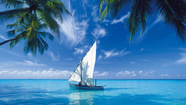 Wallpaper Water, Body, Boat, With, During, Beach, Daytime, Man, Inside, Desktop, Reflection