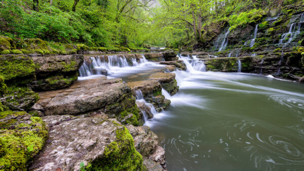 Wallpaper Trees, Mobile, Desktop, Around, Nature, Waterfall, Rocks, And, River