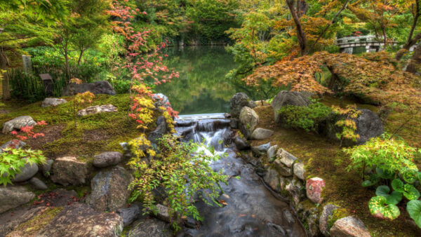 Wallpaper Nature, With, Park, Bush, Foliage, Garden, Desktop, And, Japan, Stream, Water, Trees, Kyoto
