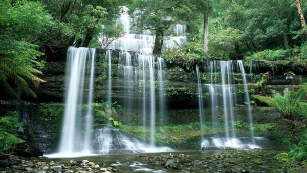 Wallpaper Forest, Trees, Beautiful, Waterfalls, Between, Rocks, Covered, Black, Desktop