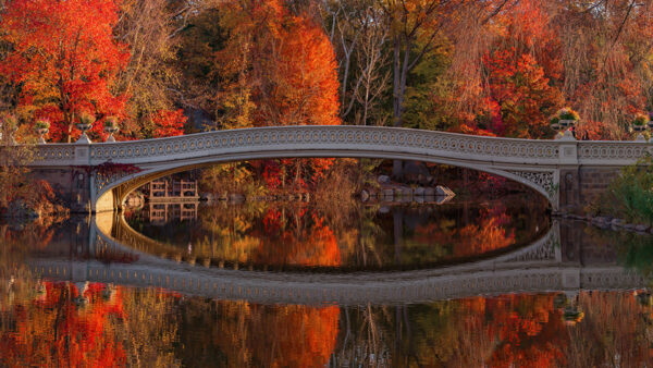 Wallpaper Autumn, Reflection, Above, Red, Water, Beautiful, Yellow, Bridge, Desktop, Green, Lake, Leaves, Nature, Trees