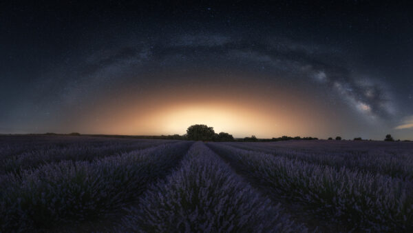 Wallpaper Way, Milky, Lavender, Sunset, Nature, Night, Stars