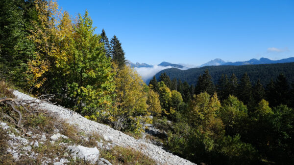 Wallpaper Slope, Fog, Sky, Daytime, Trees, Covered, Forest, Green, During, Nature, Mountain, Under, Blue