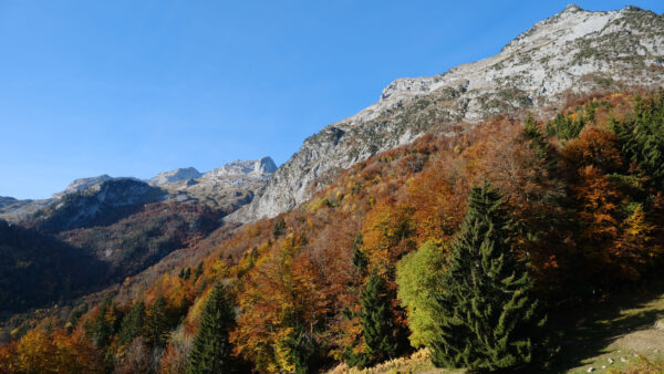 Wallpaper Rock, Blue, Background, Mobile, Desktop, Slope, Autumn, Green, Sky, Under, Red, Mountains, Trees, White, Yellow