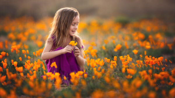 Wallpaper Little, Flowers, Standing, Purple, Yellow, Girl, Field, Wearing, Cute, Dress