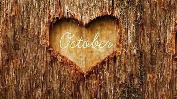 Wallpaper October, Word, Trunk, Shape, Heart, Tree