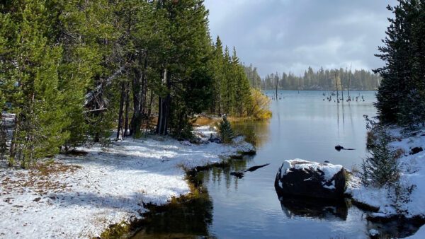 Wallpaper Nature, Blue, Under, Covered, Birds, Snow, Forest, River, Stones, Sky, Trees