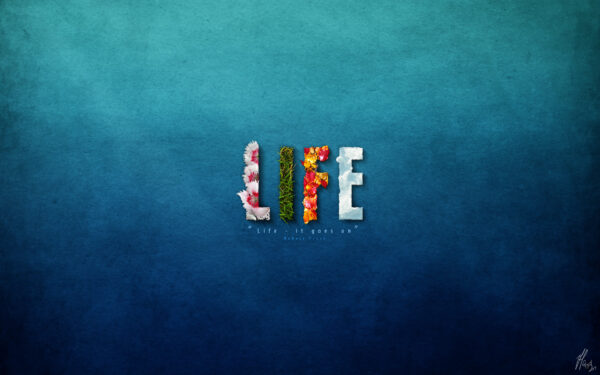 Wallpaper Life, Goes