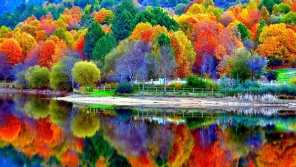 Wallpaper Lake, Mobile, Nature, Desktop, Reflection, Colorful, Tress, With, Forest