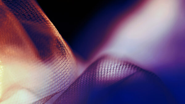 Wallpaper Macro, Mesh