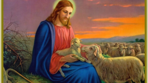 Wallpaper Lamb, Lap, Desktop, Jesus, With