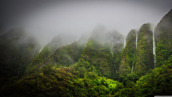 Wallpaper Jungle, Covered, Mobile, Green, Desktop, With, Mountains, Waterfall, Trees, Fog, Between