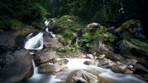 Wallpaper Forest, Mobile, Stones, With, Stream, Water, Desktop, Nature, Between