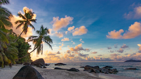 Wallpaper Ocean, Sand, Blue, Palm, Under, Beach, Sky, Clouds, Trees, Beautiful, Desktop, Stones, White, Mobile, Waves