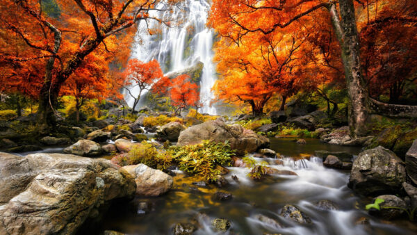 Wallpaper Forest, Nature, And, Autumn, Red, Rocks, Trees, Surrounded, Between, Waterstream, Leafed, Waterfalls, Mountains, Yellow