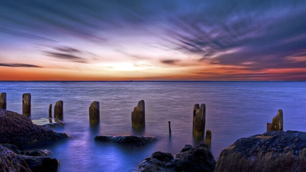 Wallpaper Purple, Sea, Black, Sky, Cloudy, Trunk, Under, Nature