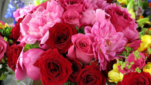 Wallpaper Bouquet, Bright, Red, Peonies, Roses, Pink, Flowers