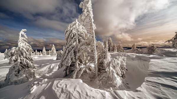 Wallpaper Clouds, Sky, Snow, Winter, Covered, Landscape, And, Under, Trees