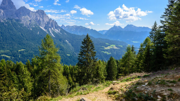 Wallpaper Beautiful, Nature, Blue, Under, Trees, Clouds, Mobile, Bushes, White, Green, Sky, Desktop, Mountains, Forest