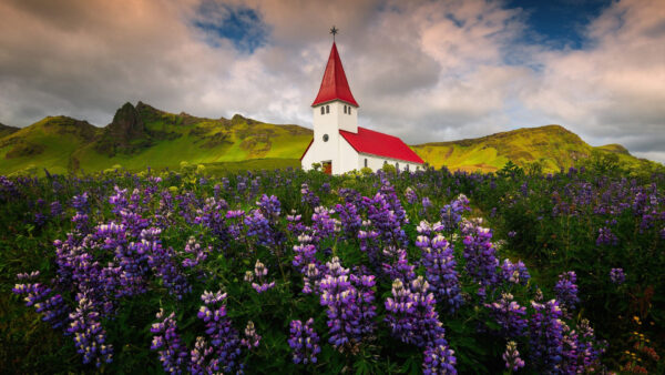 Wallpaper Lutheran, Myrdal, Vik, Travel, Church, Iceland