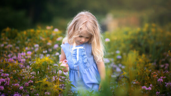 Wallpaper Little, Field, Plants, The, Blue, Girl, Green, Flowers, Middle, Dress, Standing, Cute, Wearing