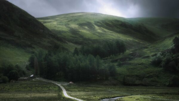 Wallpaper Trees, Spruce, Greenery, View, Bird’s, Desktop, Slope, Road, Eye, Nature, Mobile, Land, Mountains, Between